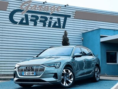Audi e-tron 55 QUATTRO Avus   - 25