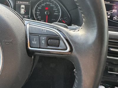 Audi Q5 (2) 20 TDI Quattro S-Tronic7 177 CV Avus   - 21
