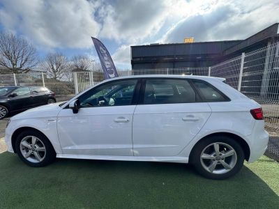 Audi A3 Sportback E-tron 204 cv 14 TFSI Business Line   - 16