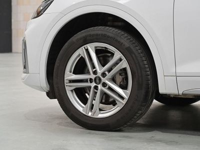 Audi Q5 II 40 TDI 204 QUATTRO S LINE S TRONIC 7   - 4