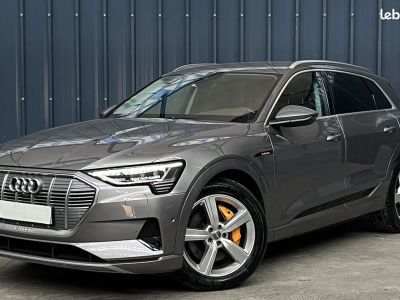 Audi e-tron 50 Quattro 313 ch Avus Garantie 1 An Conduite Autonome Double trappe de recharge Caméra 360° Prise 350kw   - 1