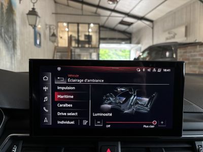Audi A4 Allroad 40 TDI 190 CV DESIGN QUATTRO S-TRONIC   - 12