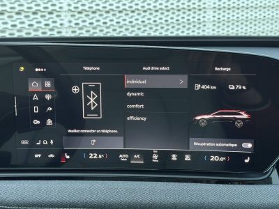 Audi A6 Avant E-TRON e-tron 428 ch 100 kWh Quattro S line   - 12
