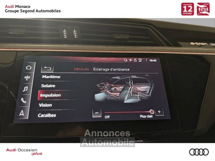 Audi e-tron SPORTBACK Sportback 50 quattro 313 ch Avus Extended - 13