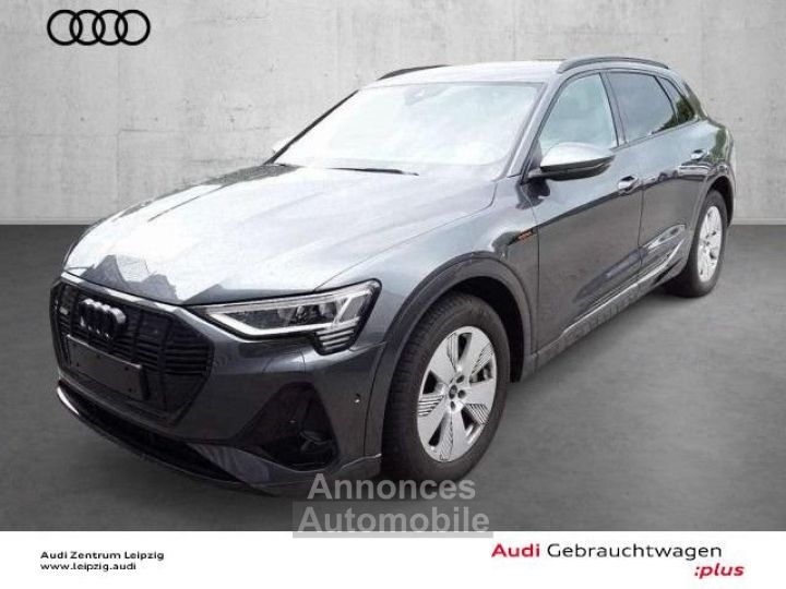 Audi Q8 e tron 55 qu S line Matrix HuD - 5