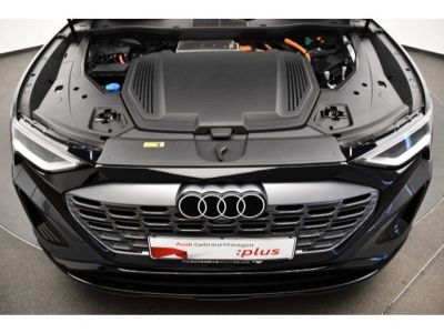 Audi Q8 50 e tron quattro S line Luft Matrix   - 11