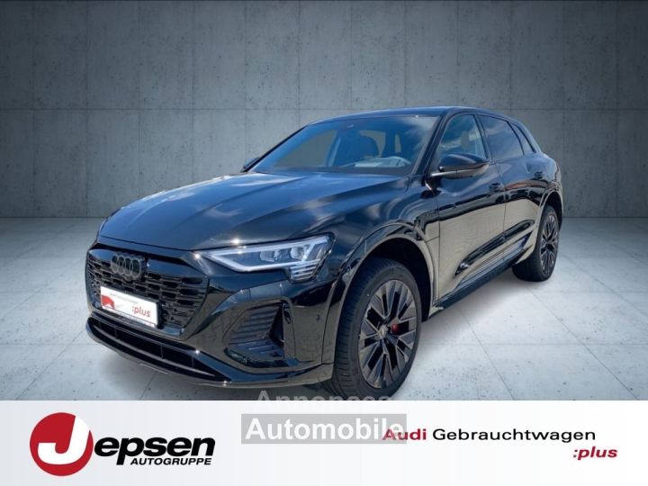 Audi Q8 e tron S line 50 qu Matrix AHK HUD - 1