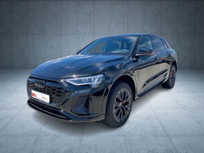 Audi Q8 e tron S line 50 qu Matrix AHK HUD   - 2