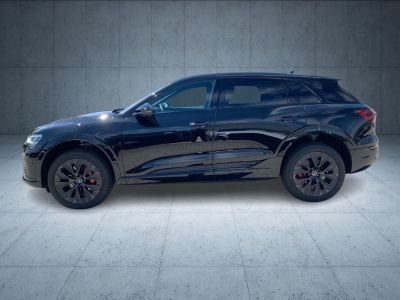 Audi Q8 e tron S line 50 qu Matrix AHK HUD   - 3