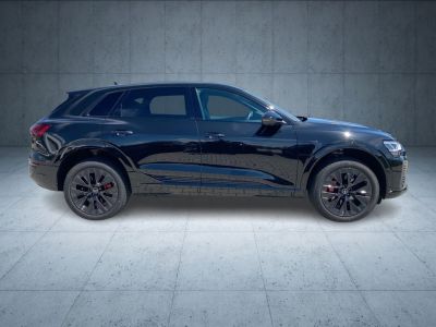 Audi Q8 e tron S line 50 qu Matrix AHK HUD   - 6