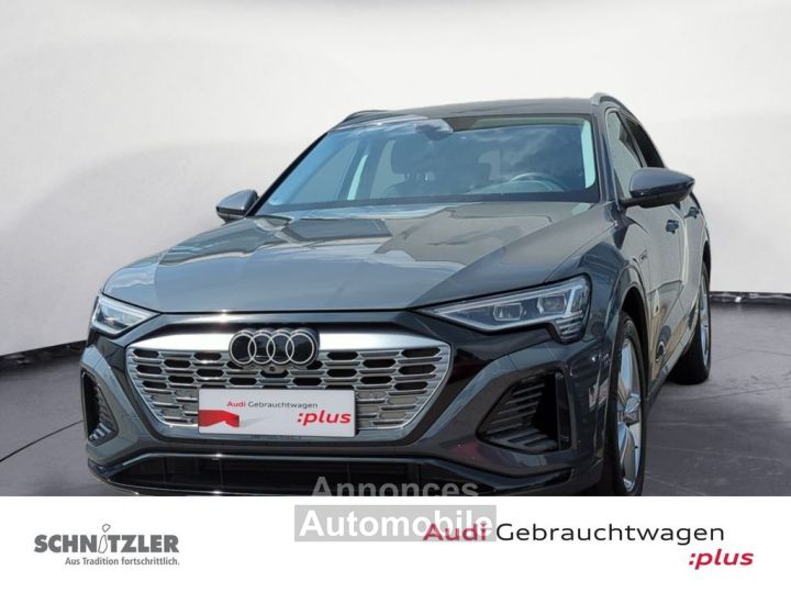 Audi Q8 e tron S line 50 quattro MATRIX 360 - 1