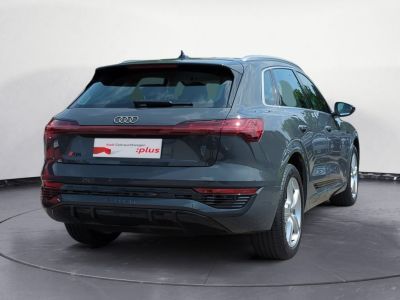 Audi Q8 e tron S line 50 quattro MATRIX 360   - 5