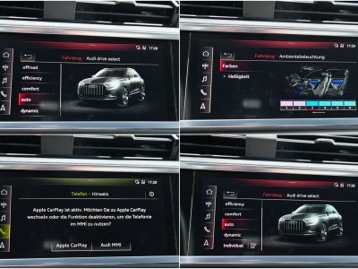 Audi Q3 40 TFSI quattro 2x S line Vollleder   - 19