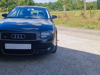 Audi A3 A3 V6 32 QUATTRO 250CV   - 11