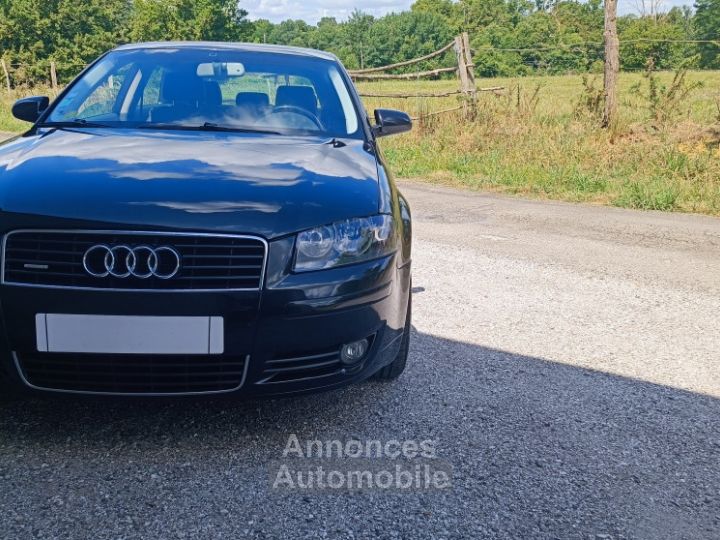 Audi A3 A3 V6 32 QUATTRO 250CV - 11