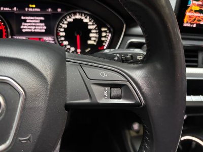 Audi A4 Allroad QUATTRO 20 TDI 190 DPF S Tronic 7 Design Luxe   - 19