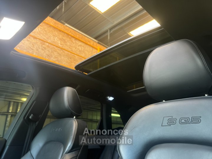 Audi SQ5 V6 30 BiTDI 313 Quattro Tiptronic 8 - 12