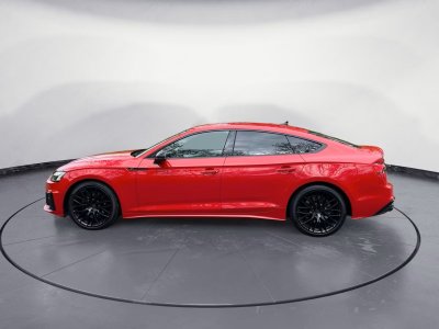 Audi S5 Sportback TDI 341 Tiptronic 8 Quattro   - 2