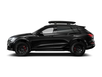 Audi Q8 E-TRON 55 E TRON QUATTRO DAKAR EDITION   - 6