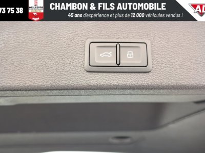 Audi Q2 30 TFSI 110 BVM6 Design   - 19