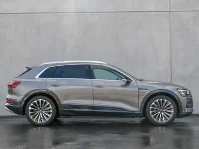 Audi e-tron 50 - LUCHTVERING - CAMERA - SPORTSEATS - LED - CC -   - 6