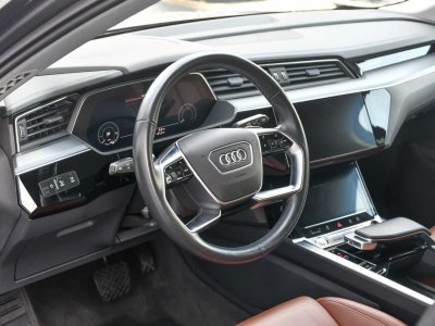 Audi e-tron 50 - LUCHTVERING - CAMERA - SPORTSEATS - LED - CC -   - 13