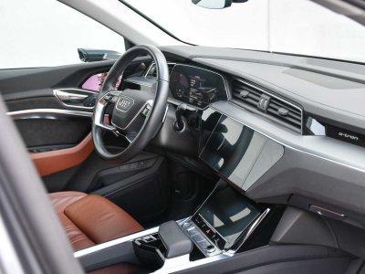 Audi e-tron 50 - LUCHTVERING - CAMERA - SPORTSEATS - LED - CC -   - 18