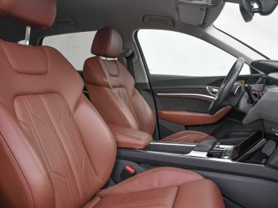 Audi e-tron 50 - LUCHTVERING - CAMERA - SPORTSEATS - LED - CC -   - 19