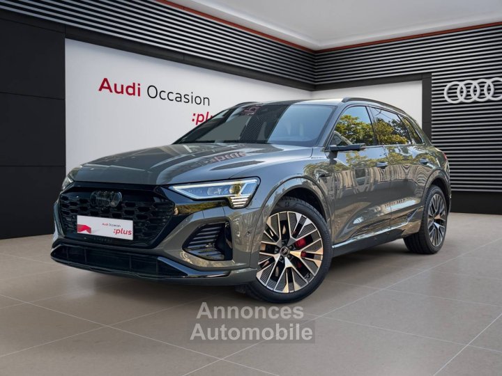 Audi Q8 E-TRON e-tron 55 408 ch 114 kWh Quattro S line - 45