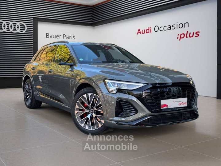 Audi Q8 E-TRON e-tron 55 408 ch 114 kWh Quattro S line - 77