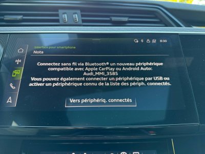 Audi Q8 E-TRON e-tron 55 408 ch 114 kWh Quattro S line - 98