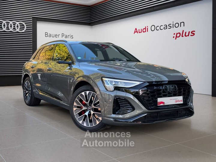 Audi Q8 E-TRON e-tron 55 408 ch 114 kWh Quattro S line - 115