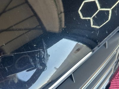 Audi S5 Coupé 333 ch 30L TFSI V6 Quattro S tronic 7 ~ Sièges chauffants et électriques - 37