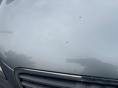 Audi A4 Avant 20 TDI 120 DPF Ambiente   - 44