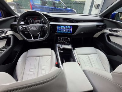 Audi Q8 e-tron Exclusive Sportback 55 Quattro S line   - 13