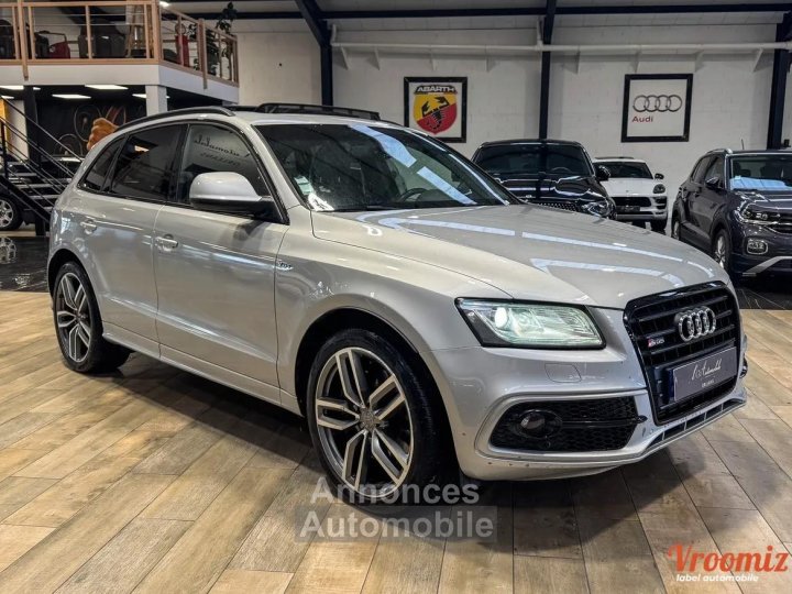 Audi SQ5 30 V6 BITDI 313 QUATTRO TIPTRONIC - 3