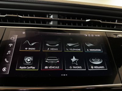 Audi Q8 55 TFSI e 381 Tiptronic 8 Quattro Avus   - 31