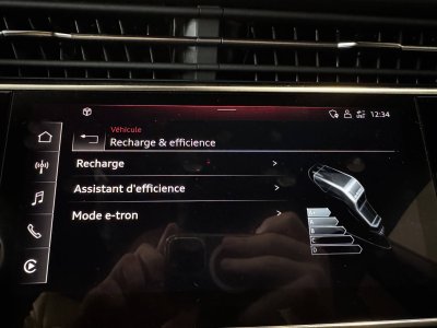 Audi Q8 55 TFSI e 381 Tiptronic 8 Quattro Avus   - 43