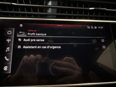 Audi Q8 55 TFSI e 381 Tiptronic 8 Quattro Avus   - 56