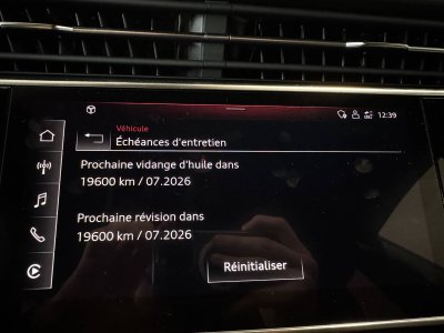 Audi Q8 55 TFSI e 381 Tiptronic 8 Quattro Avus   - 60