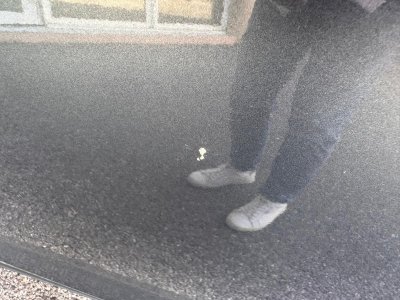 Audi A3 18 TFSI 180 Ambiente S tronic 7   - 37