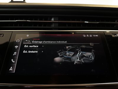 Audi RS Q8 TFSI 600 ch Tiptronic 8 Quattro   - 53