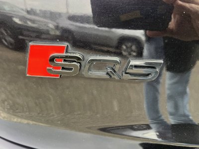 Audi SQ5 30 V6 BiTDI 313ch Quattro Tiptronic8 S-Line GPS Caméra ToitPano   - 28