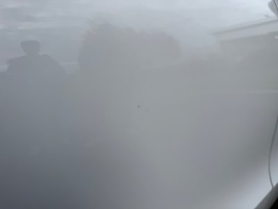 Audi Q5 20 TDI 177cv Quattro Avus S tronic 7   - 39