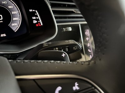 Audi Q8 45 TDI 231 CV QUATTRO TIPTRONIC   - 11