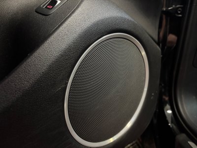 Audi SQ5 V6 30 BiTDI 326 Quattro Tiptronic 8 / ATTELAGE / BO / 2 ECRAN ARRIERE   - 33