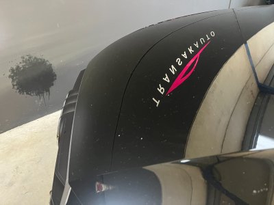 Audi A4 Avant 20 TDI 150 - DISTRIBUTION FAITE - DETECTEUR DE RECUL - GPS   - 29