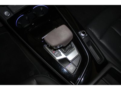 Audi A4 Avus Quattro 20 TDI 190 ch - BV S-tronic - Suivi   - 37