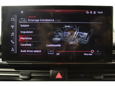 Audi A4 Avus Quattro 20 TDI 190 ch - BV S-tronic - Suivi   - 46