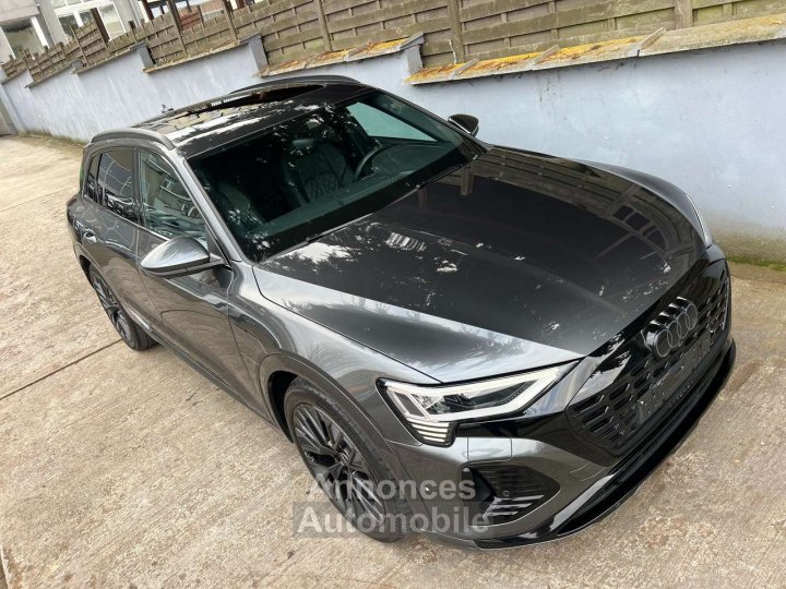 Audi Q8 e-tron 106 kWh 55 Quattro S line Full Option - 9